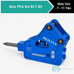 bua pha da blt 85 (4)